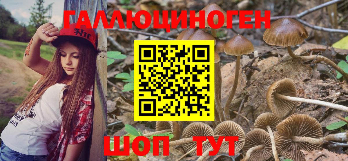 Галлюциногенные грибы GOLDEN TEACHER Альметьевск